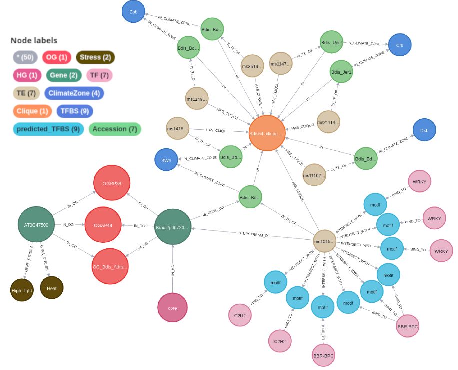 NEO4J_EXEMPLE